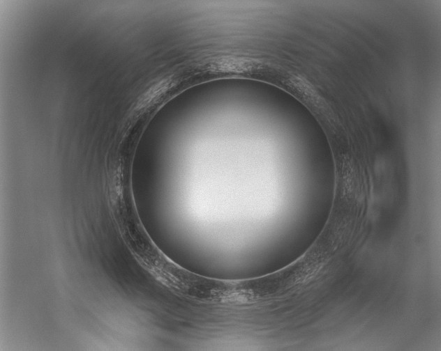 X0000059060683200510071042