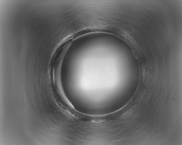 X0000059060684200510071042