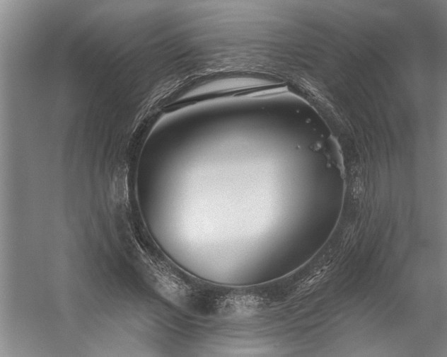 X0000059060685200510071042