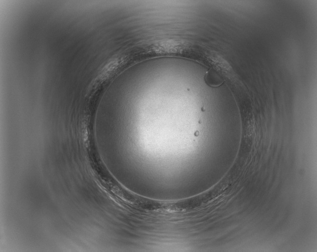 X0000059060687200510071042