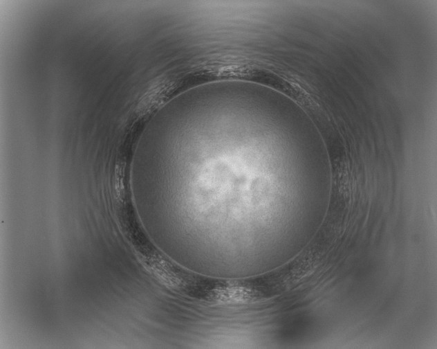 X0000059060695200510071042