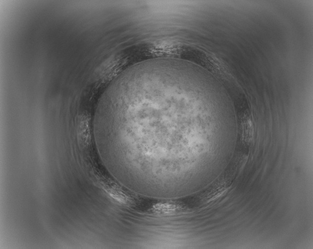 X0000059060699200510071042