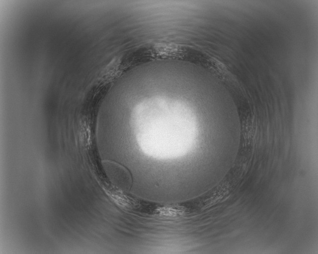 X0000059060703200510071042