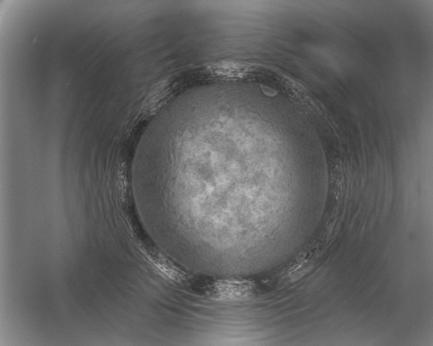 X0000059060707200510071042