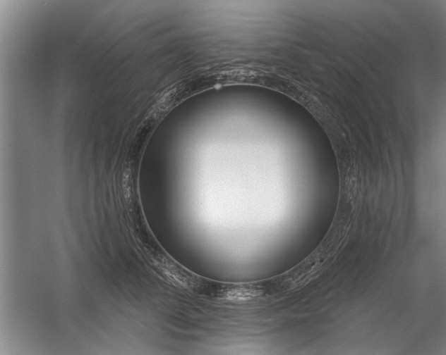 X0000059060708200510071042