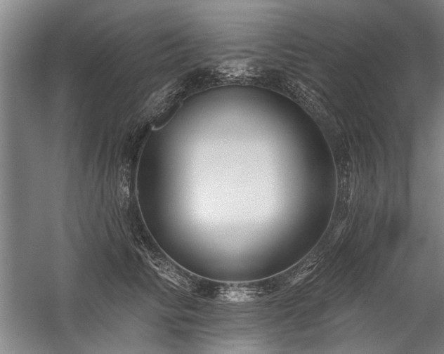 X0000059060710200510071042