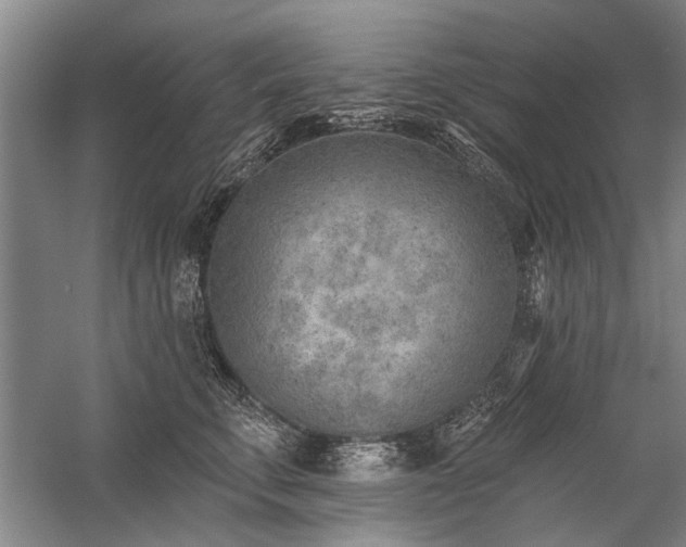 X0000059060711200510071042