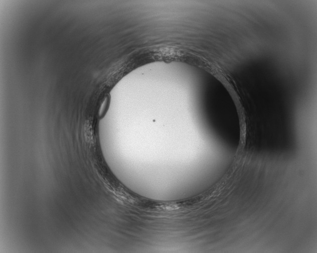 X0000059060715200510071042