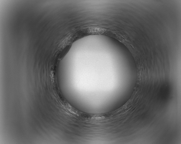 X0000059060716200510071042