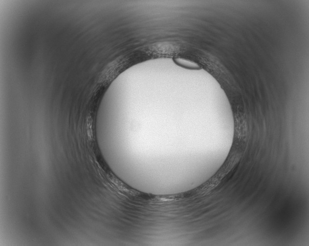 X0000059060718200510071042