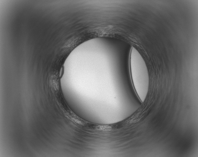 X0000059060719200510071042