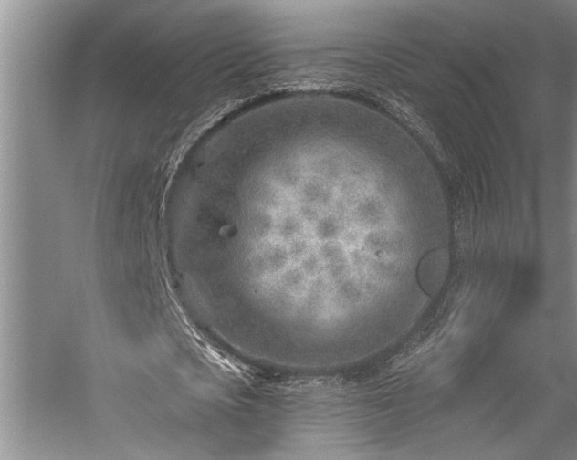 X0000059060721200510071041