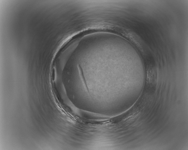 X0000059060724200510071041