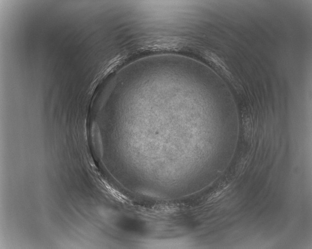 X0000059060729200510071041