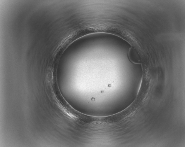 X0000059060733200510071041