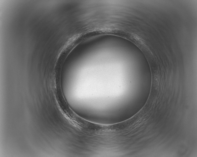 X0000059060734200510071041