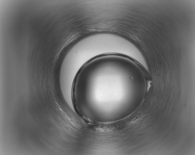 X0000059060735200510071041