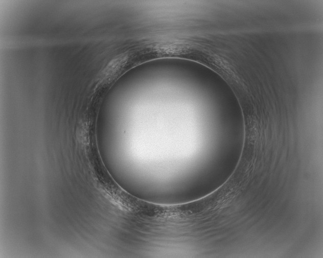 X0000059060738200510071041