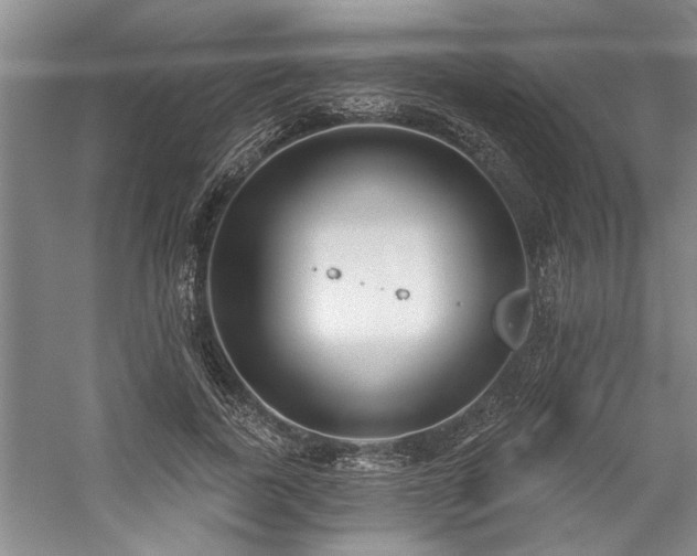 X0000059060739200510071041