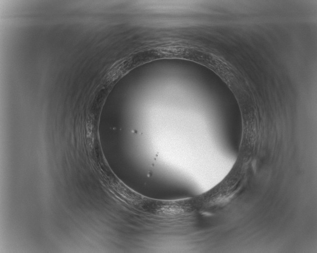 X0000059060749200510071041