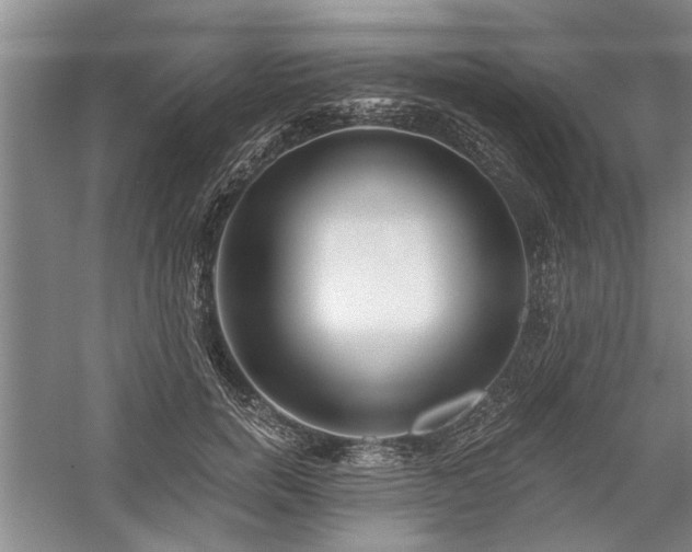 X0000059060750200510071041