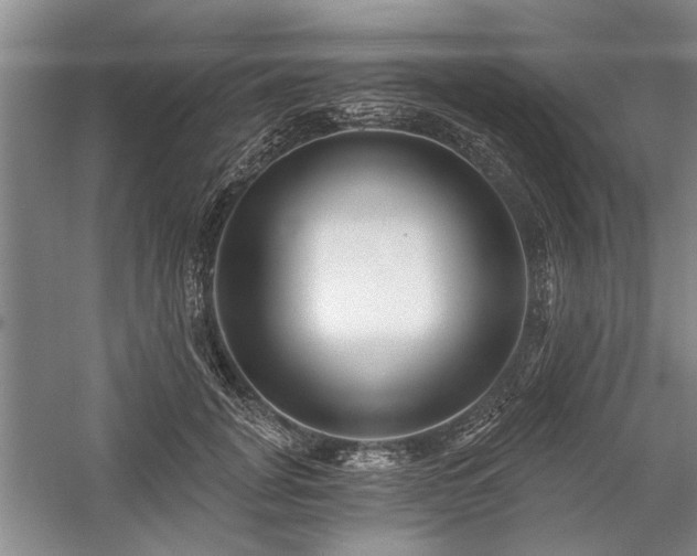 X0000059060751200510071041