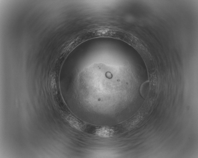 X0000059060754200510071042