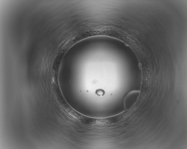 X0000059060758200510071042