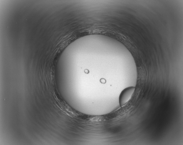 X0000059060761200510071042