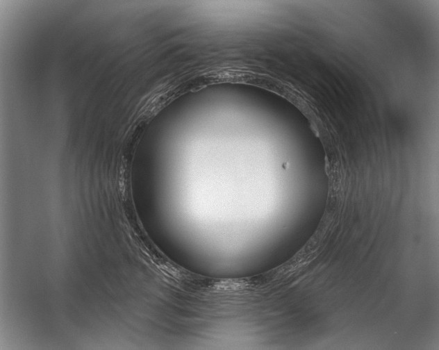 X0000059060762200510071042