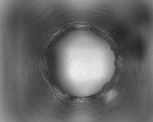 X0000059060763200510071042