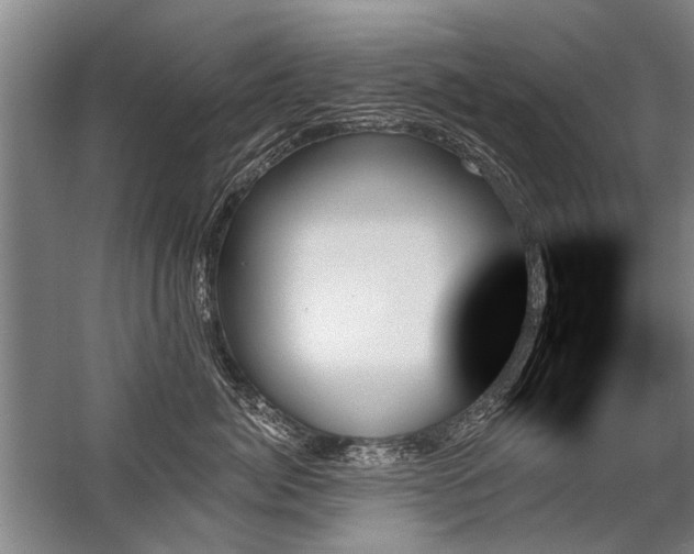 X0000059060764200510071042