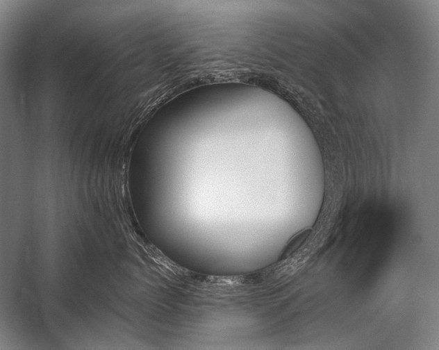 X0000059060768200510071042