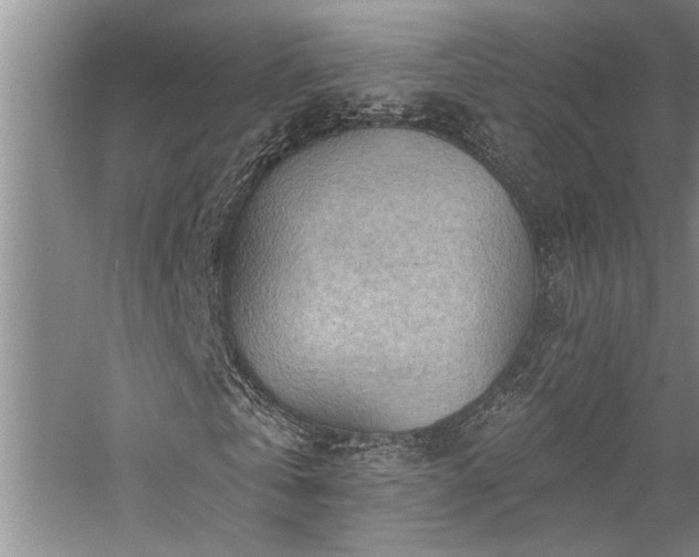 X0000059060769200510071041