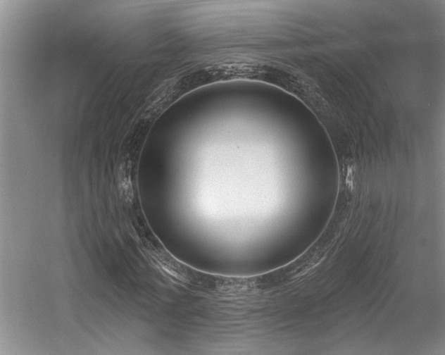 X0000059060771200510071041