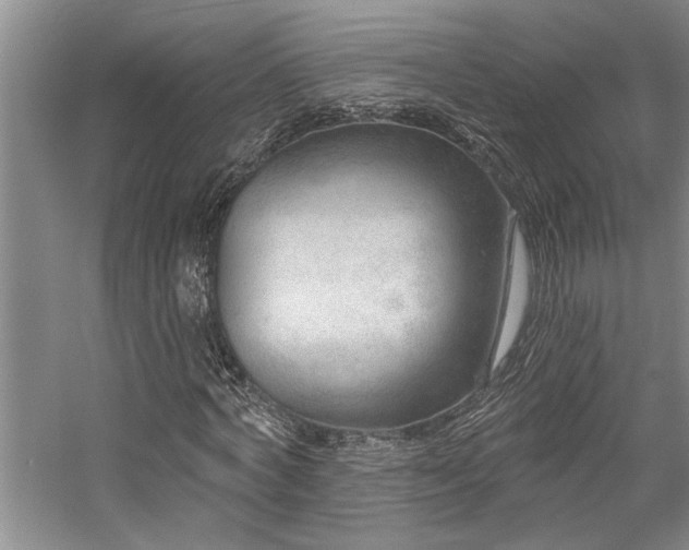 X0000059060772200510071041