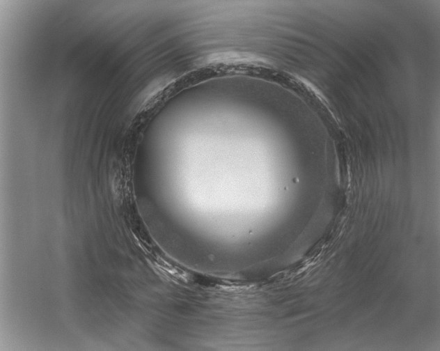 X0000059060775200510071041