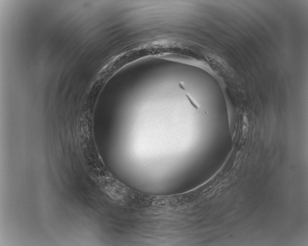 X0000059060776200510071041