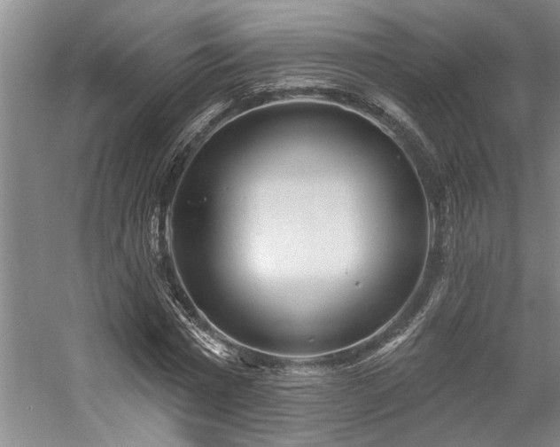 X0000059060777200510071041