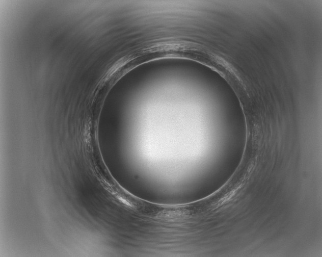 X0000059060778200510071041