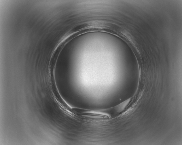 X0000059060779200510071041