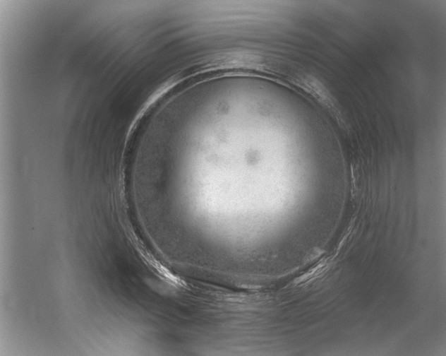 X0000059060780200510071041