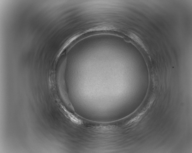 X0000059060781200510071041