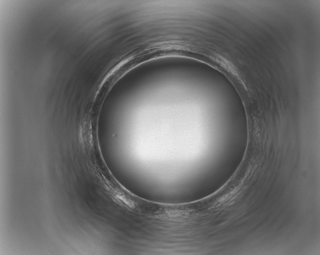 X0000059060782200510071041