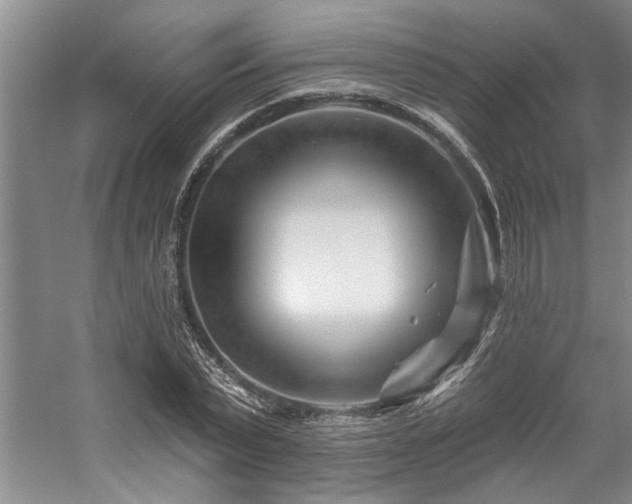 X0000059060783200510071041