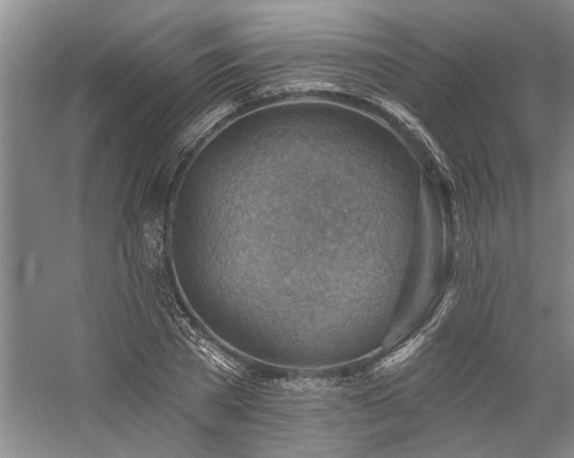 X0000059060785200510071041