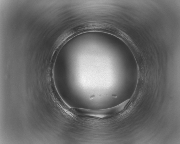 X0000059060786200510071041