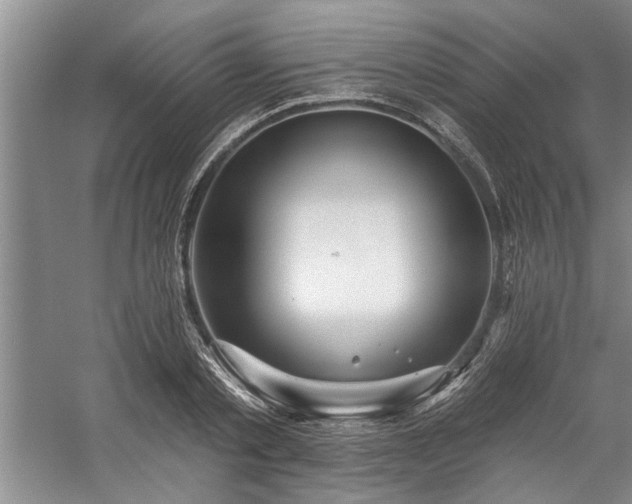 X0000059060789200510071041