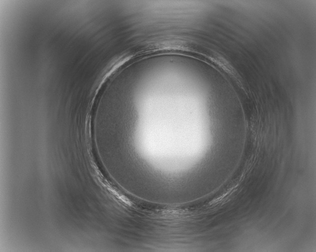 X0000059060790200510071041