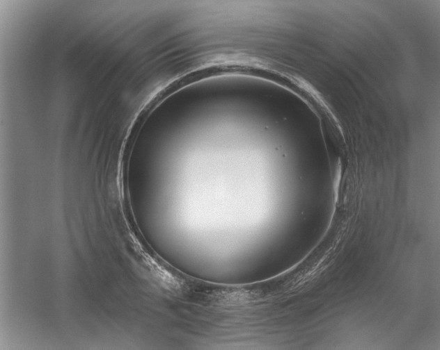 X0000059060791200510071041